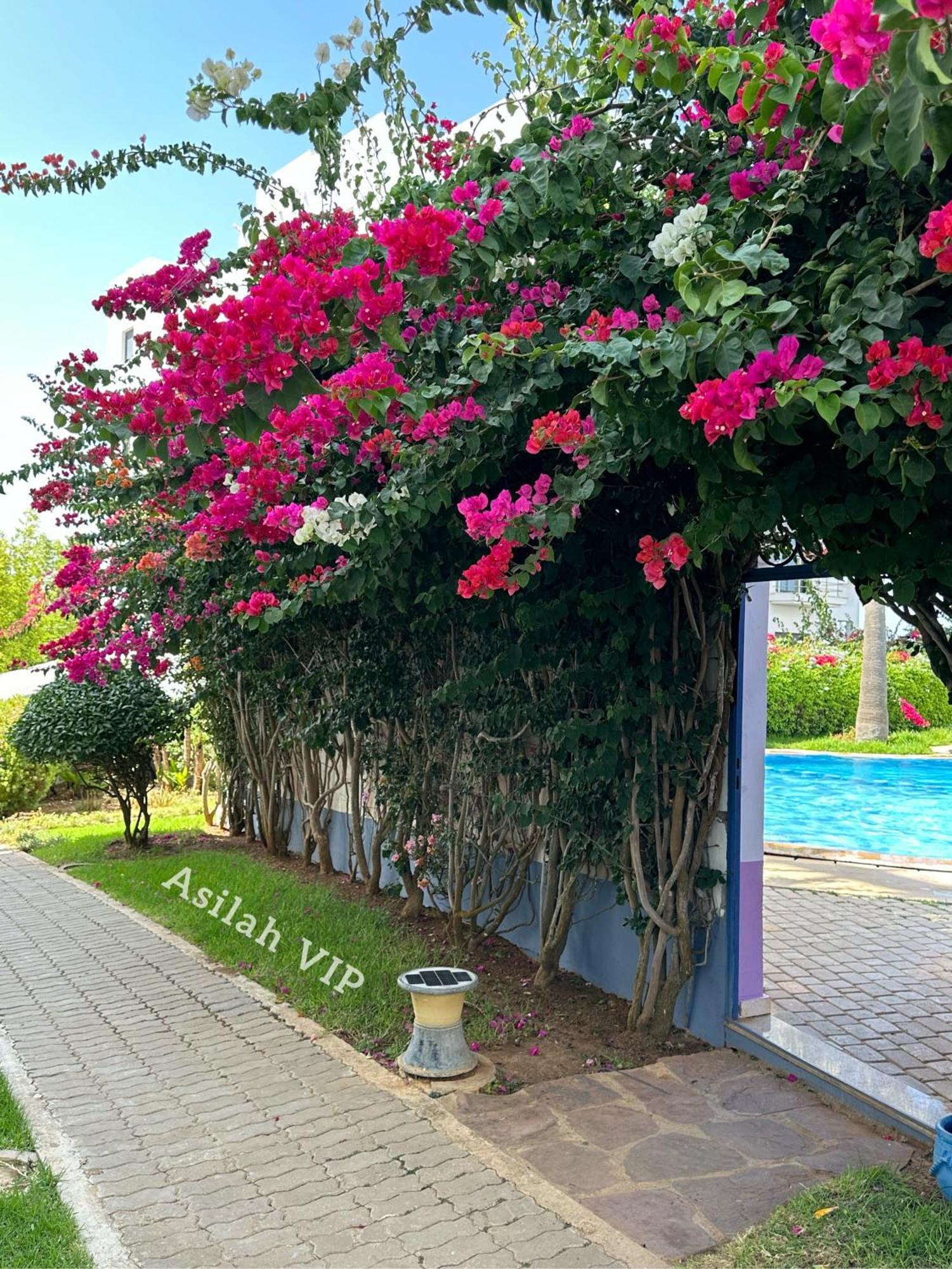 Asilah Vip - Haut Standing - Vue Mer - Piscines - Plage A 5 Minute - Garage Privee - Acces Pmr Exterior photo